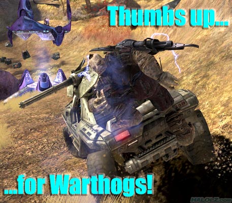 Thumbs up… for Warthogs!