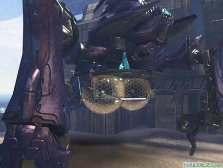 Scarab has balls