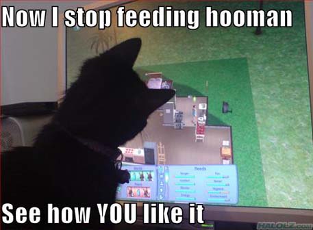 Now I stop feeding hooman