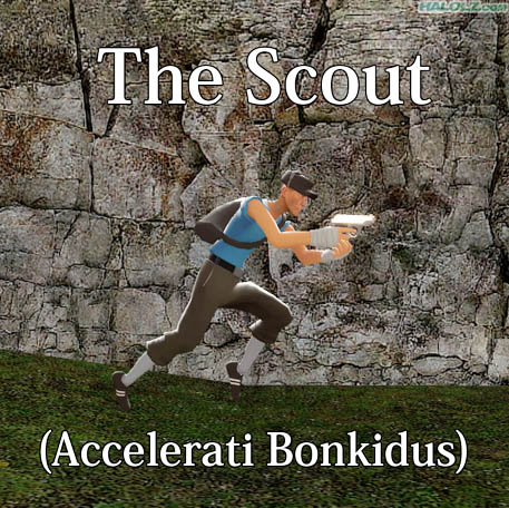 The Scout (Accelerati Bonkidus)