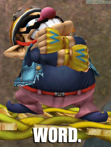 supersmashbrosbrawl-wario-word.jpg