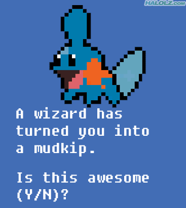 A wizard has turned you into a mudkip. Is this awesome (Y/N)?