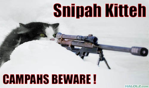 Snipah Kitteh CAMPAHS BEWARE!