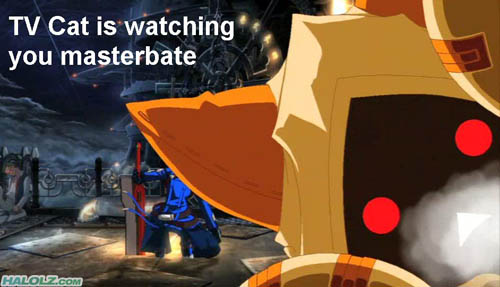 TV Cat is watching you masterbate