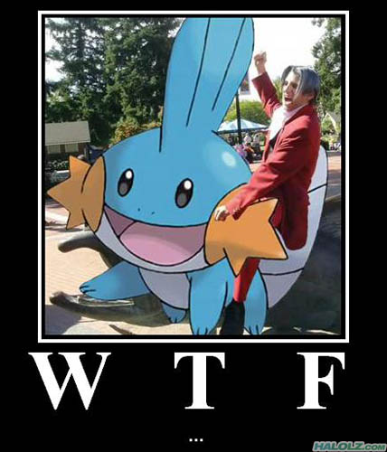 W T F …