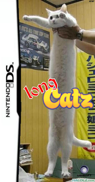 long Catz