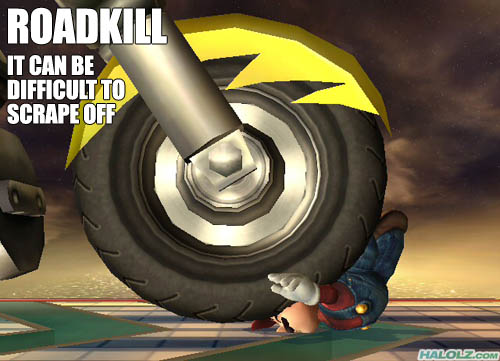 ROADKILL IT CAN BE DIFFICULT TO SCRAPE OFF