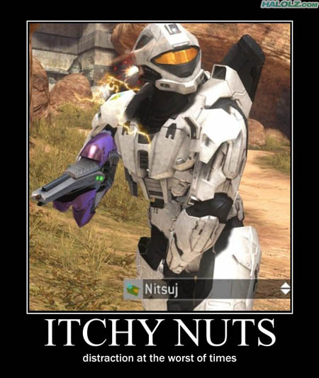 ITCHY NUTS - distraction at the worst of times
