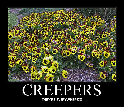 halolz-dot-com-minecraft-creeper-flowers-motivational.jpg