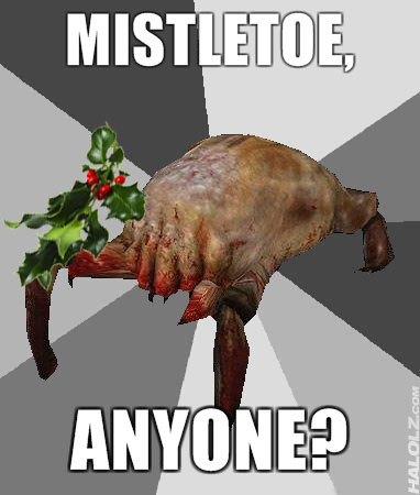 MISTLETOE, ANYONE?