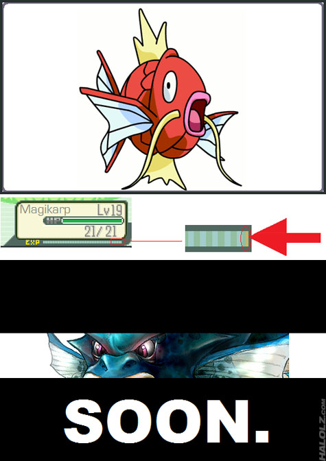 [Image: halolz-dot-com-pokemon-magikarp-gyaradossoon.jpg]