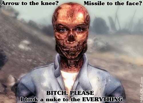 Arrow to the knee? Missile to the face? BITCH, PLEASE I took a nuke to the EVERYTHING