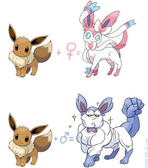 Sylveon's Male Evolution